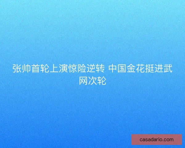 张帅首轮上演惊险逆转 中国金花挺进武网次轮